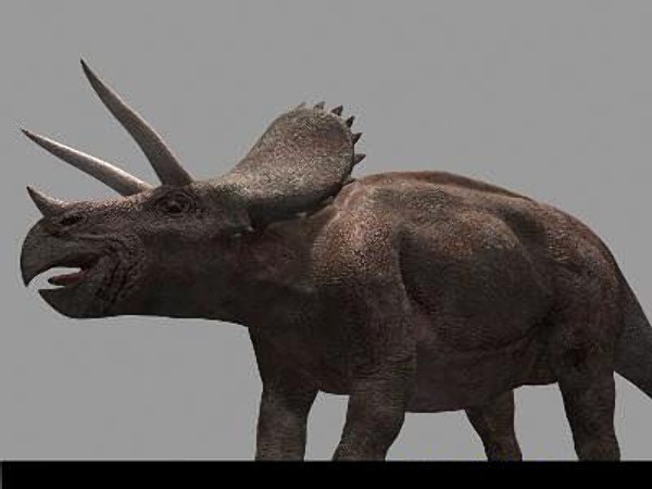 jp triceratops 3d obj - True Jp Triceratops Obj by Virtual creator